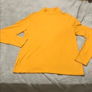 Long sleeve, tight fitting turtleneck